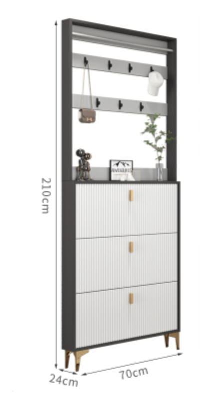  Shoe organizer cabinet 