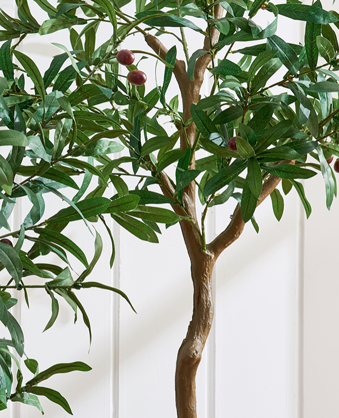  tree with pot  