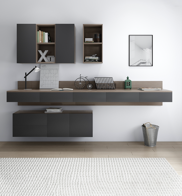  multifunctional office 