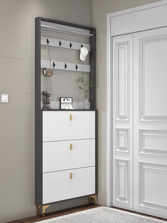  Shoe organizer cabinet 