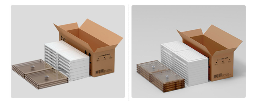  shoe boxes 