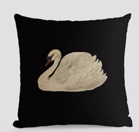  Cushions 