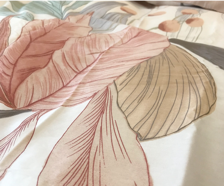  bed sheets  