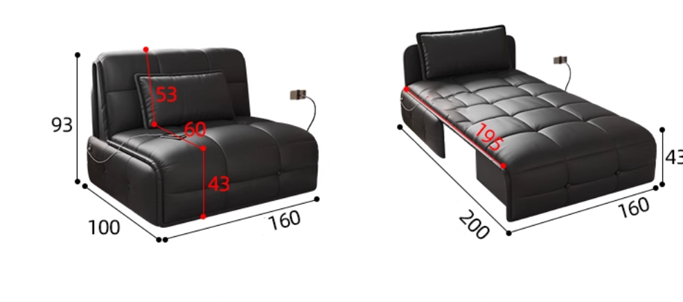  Wacok Electric Sofa Bed 