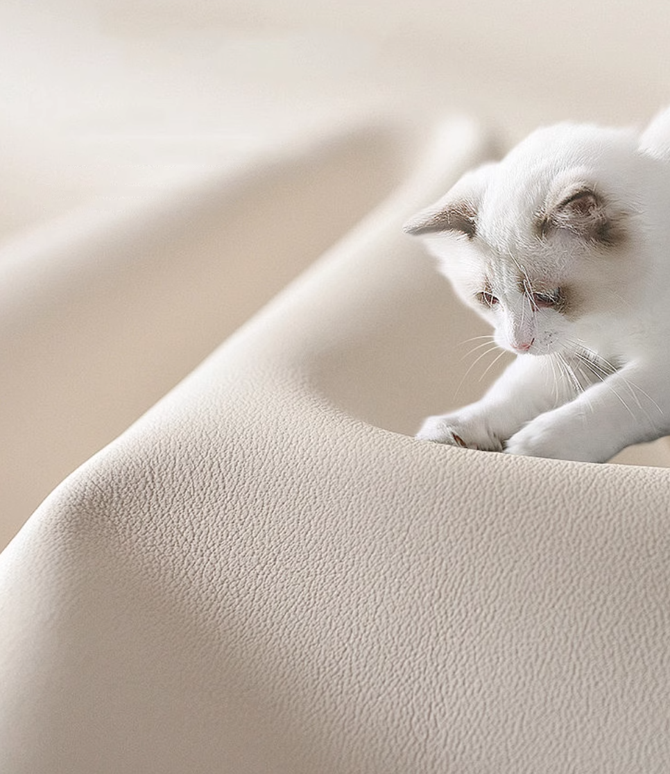  Wacok Electric Sofa Bed 