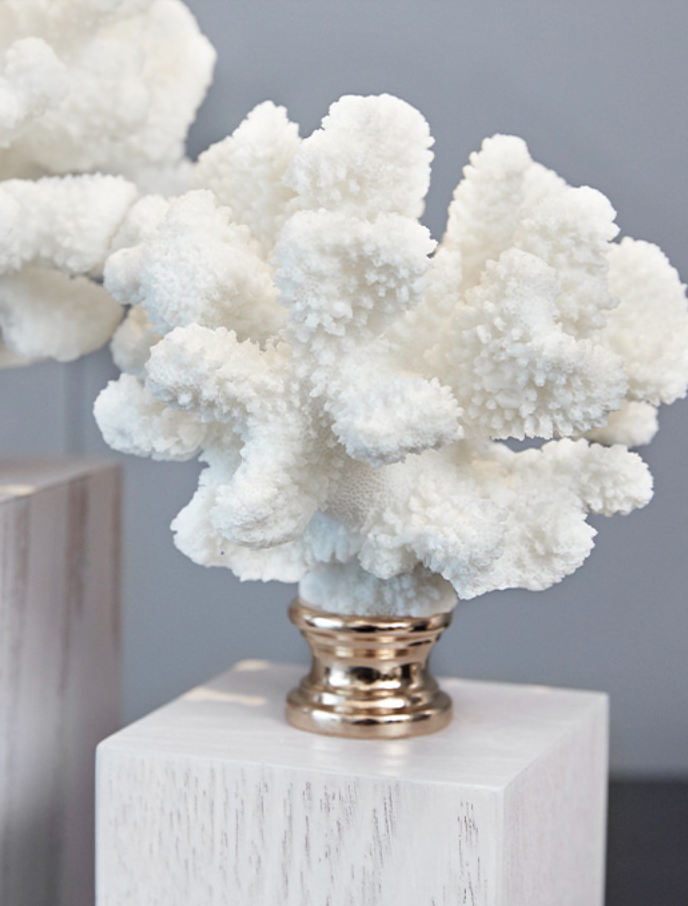  Decorative two-piece coral, resin, hardwood. 