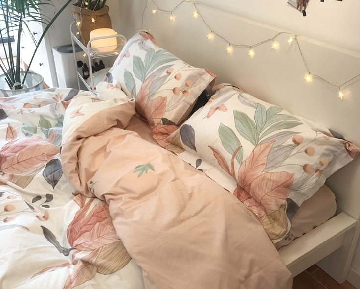  bed sheets  