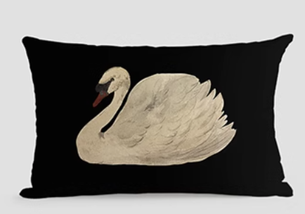  Cushions 