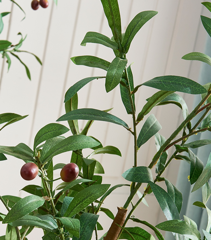  tree with pot  