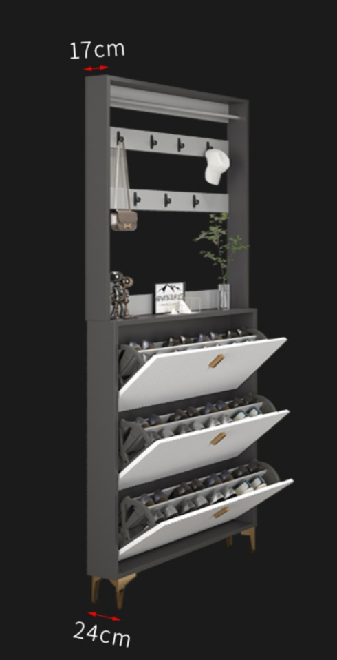  Shoe organizer cabinet 