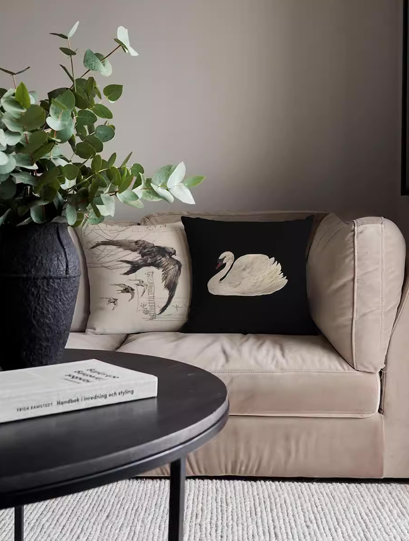  Cushions 