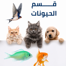 قسم الحيوانات