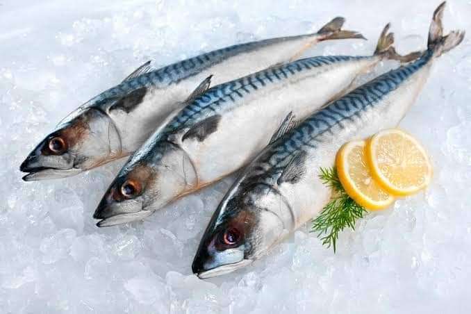  Frozen Norwegian Mackerel 1 kg 