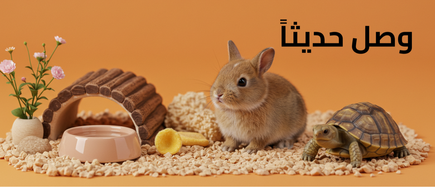 [وصل حديثا]