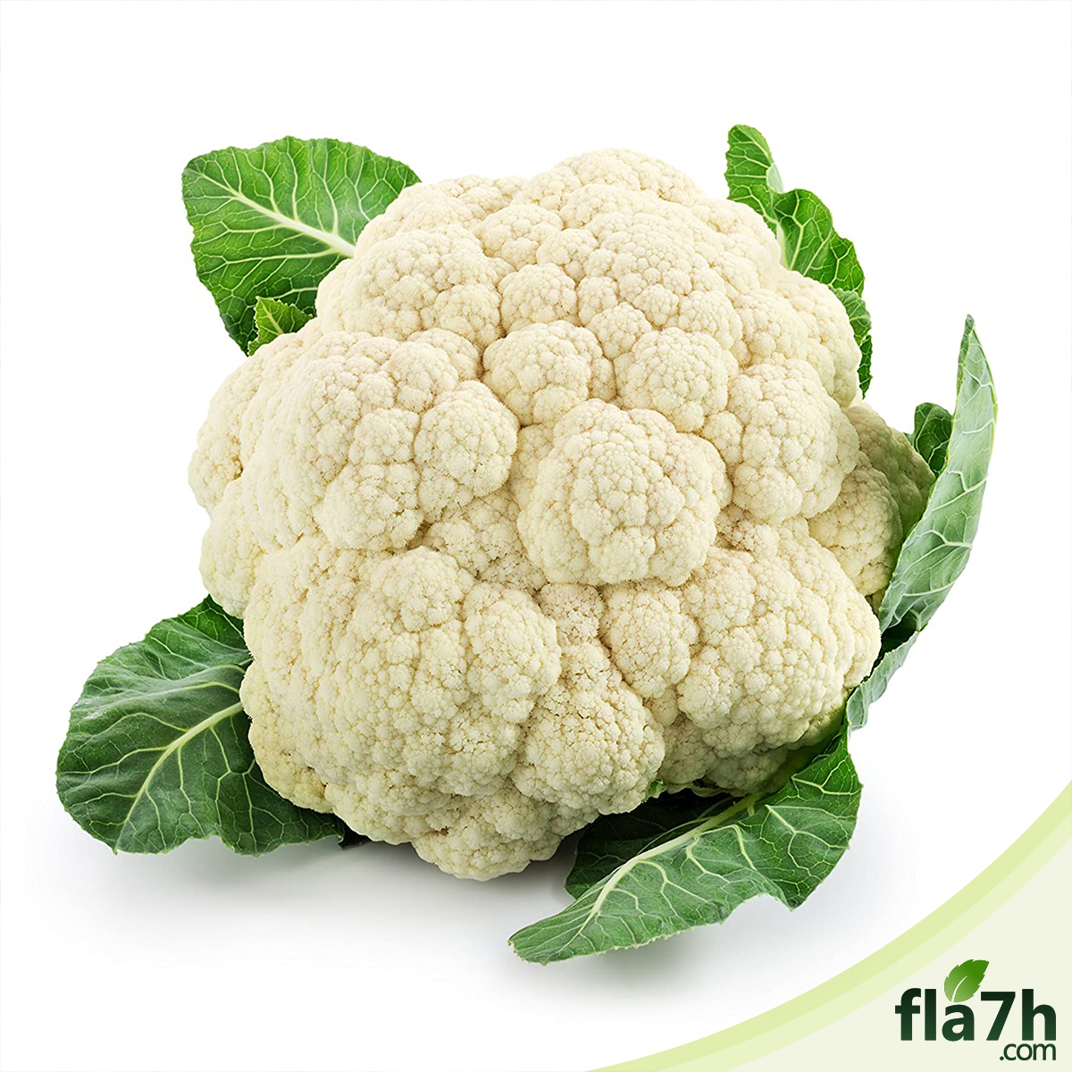 بذور القرنبيط  150 بذرة- Cauliflower
