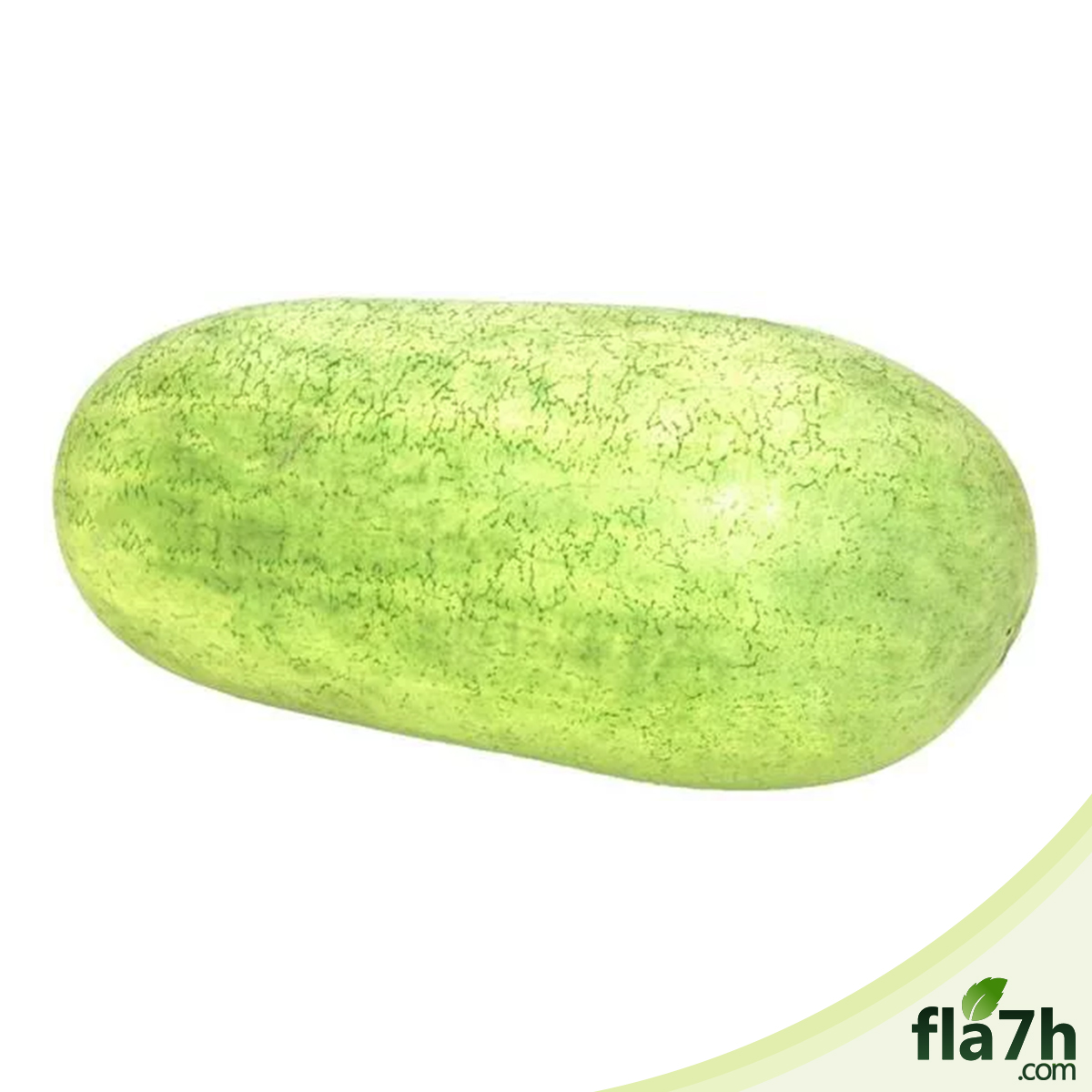 بذور البطيخ