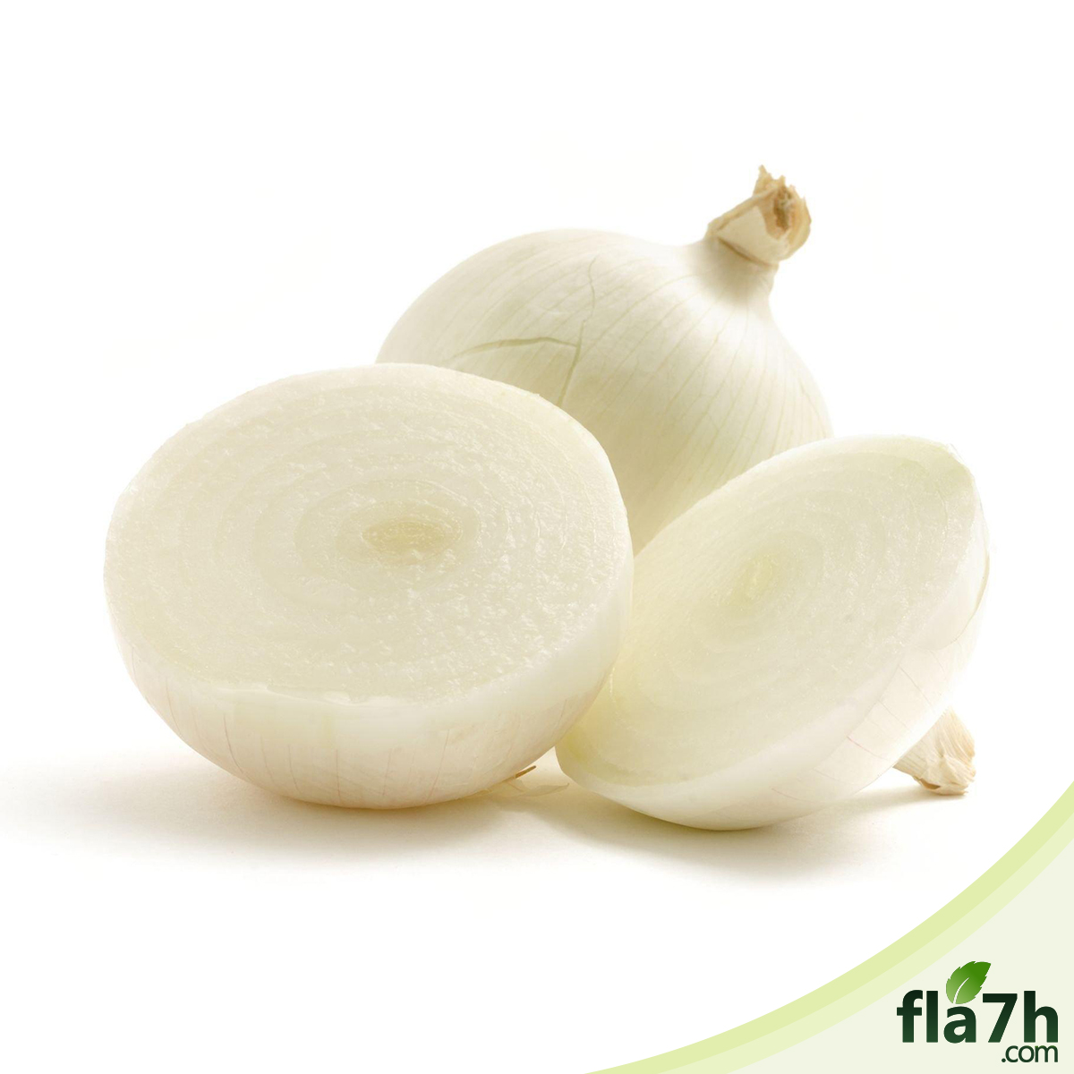 البصل الأبيض 100 بذرة - White onion