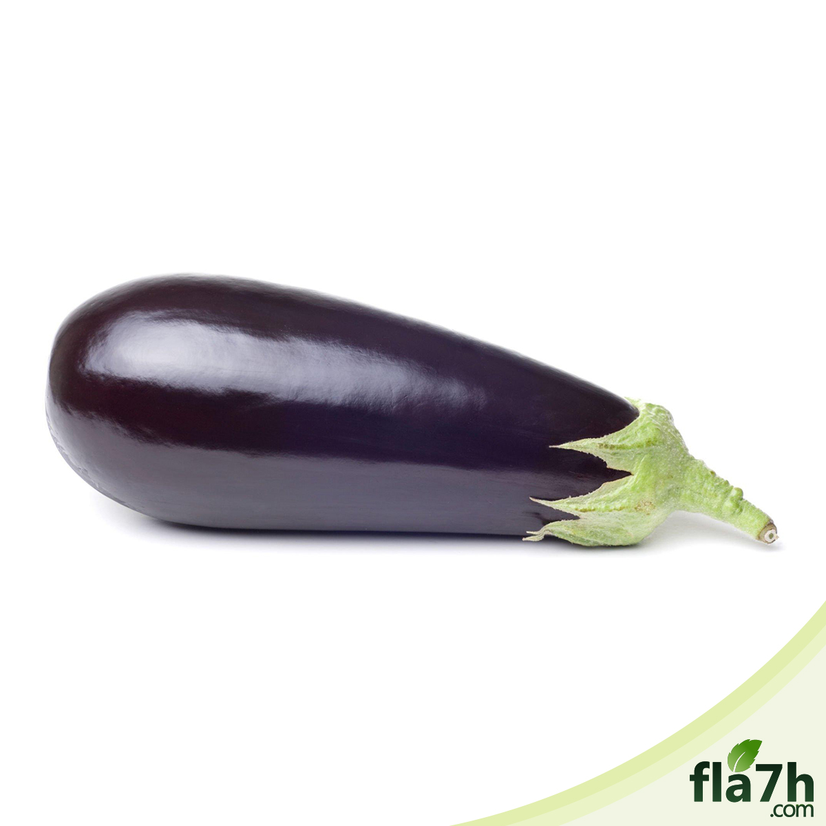 بذور الباذنجان