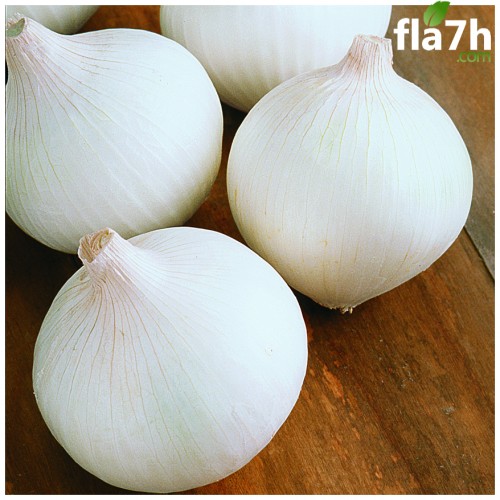 البصل الأبيض 100 بذرة - White onion