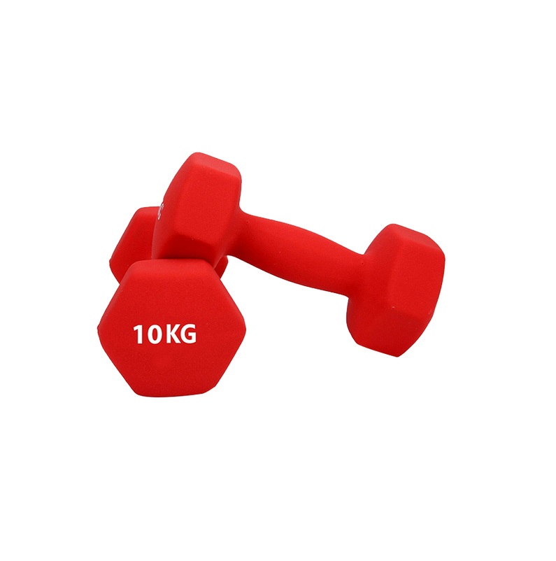 ربر دامبل 10