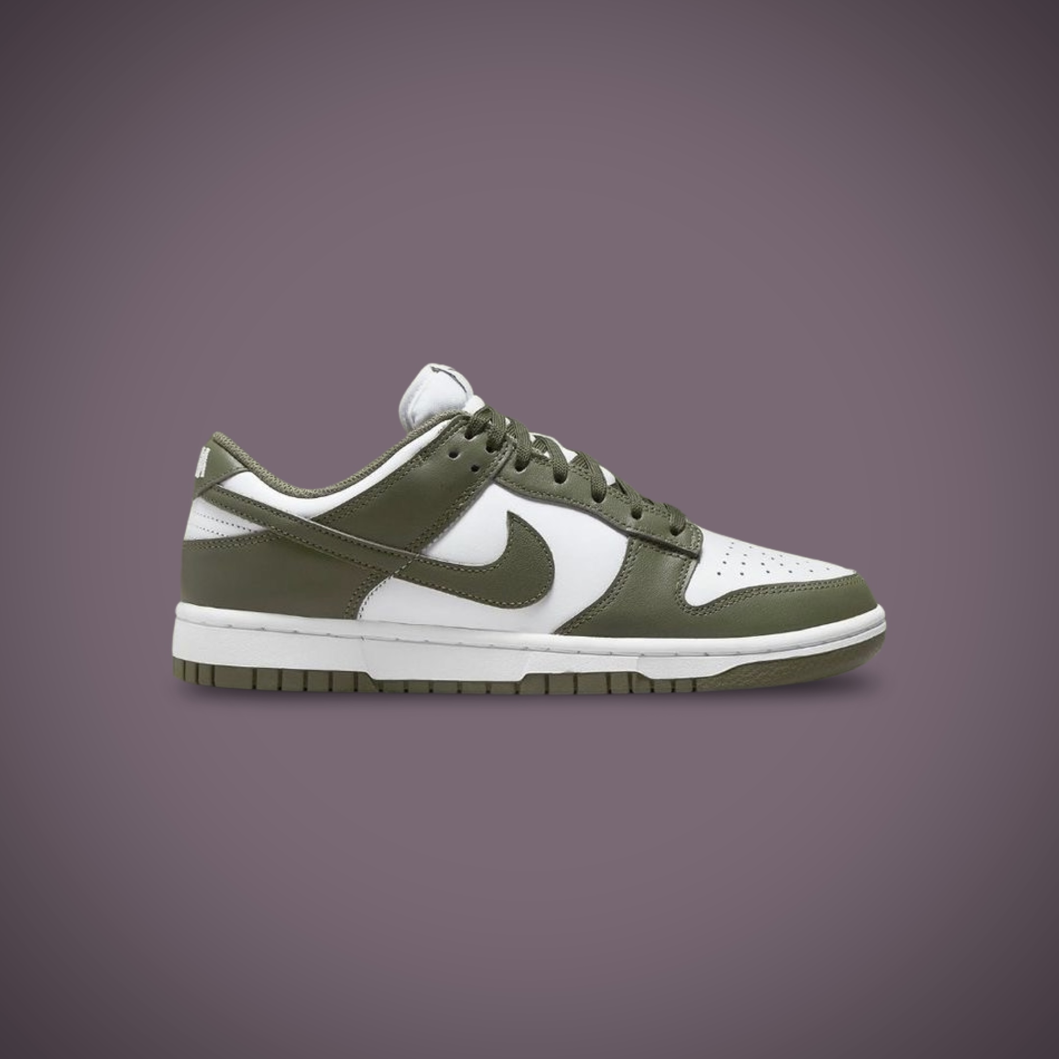  Nike SB Dunk LG 