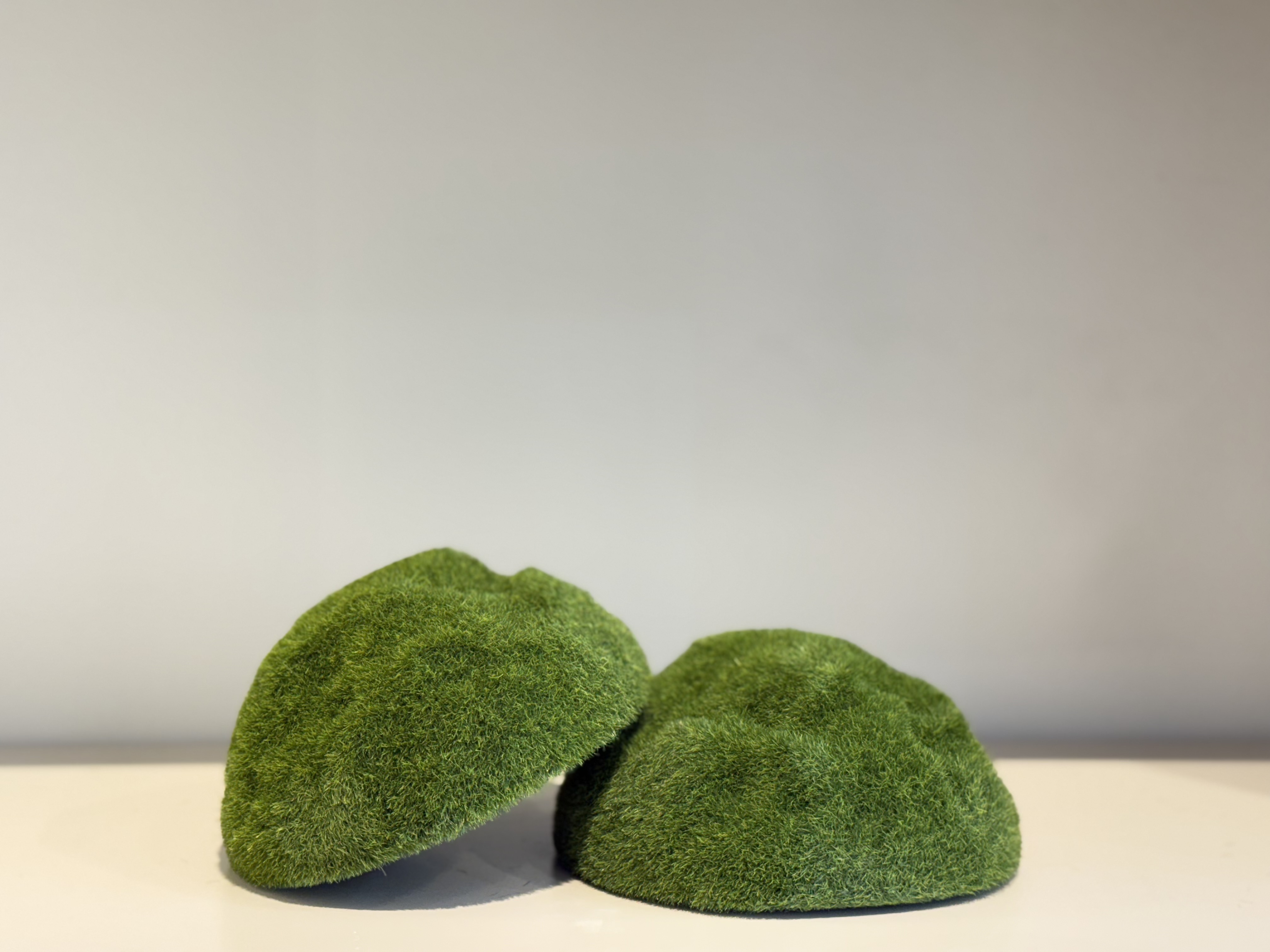  قطعة طحالب للتنسيق مقاس 21*12 سم  