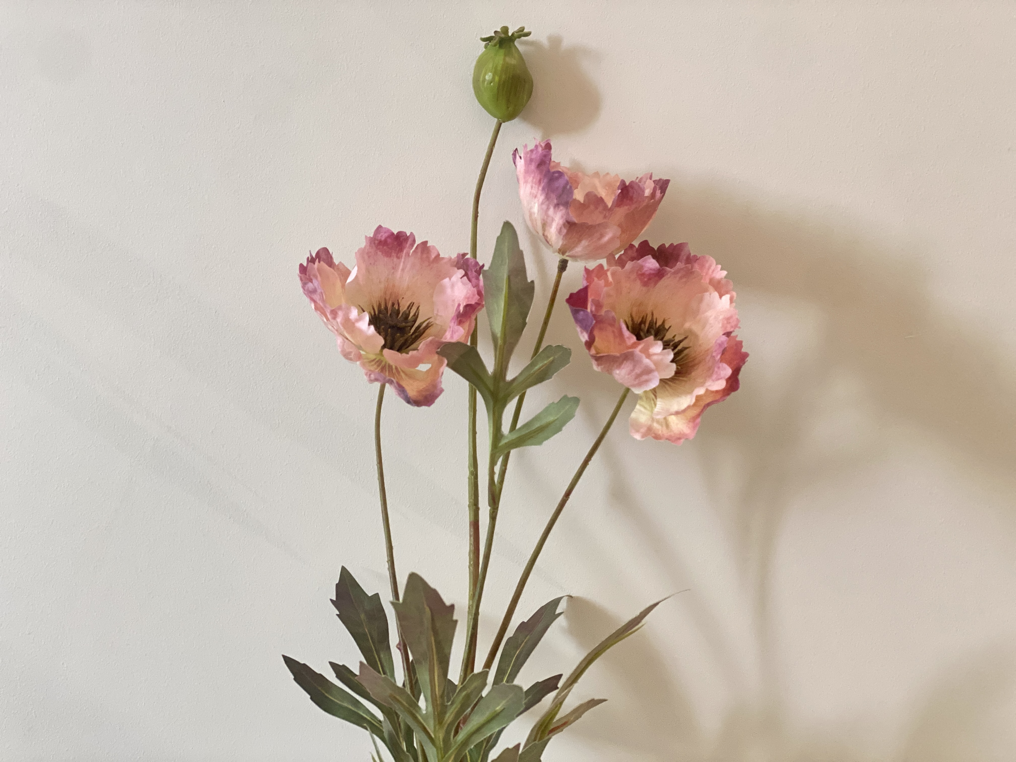  اغصان ورد بوبي طول 69سم 