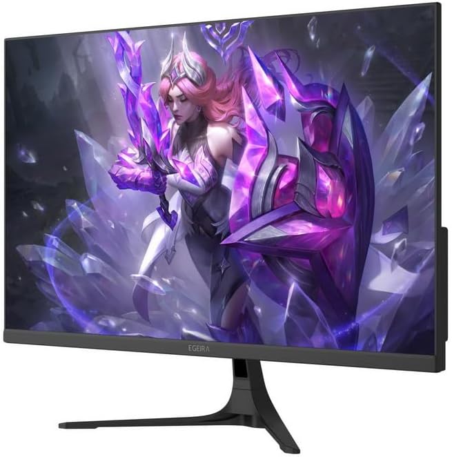 Egeria pc monitor 24