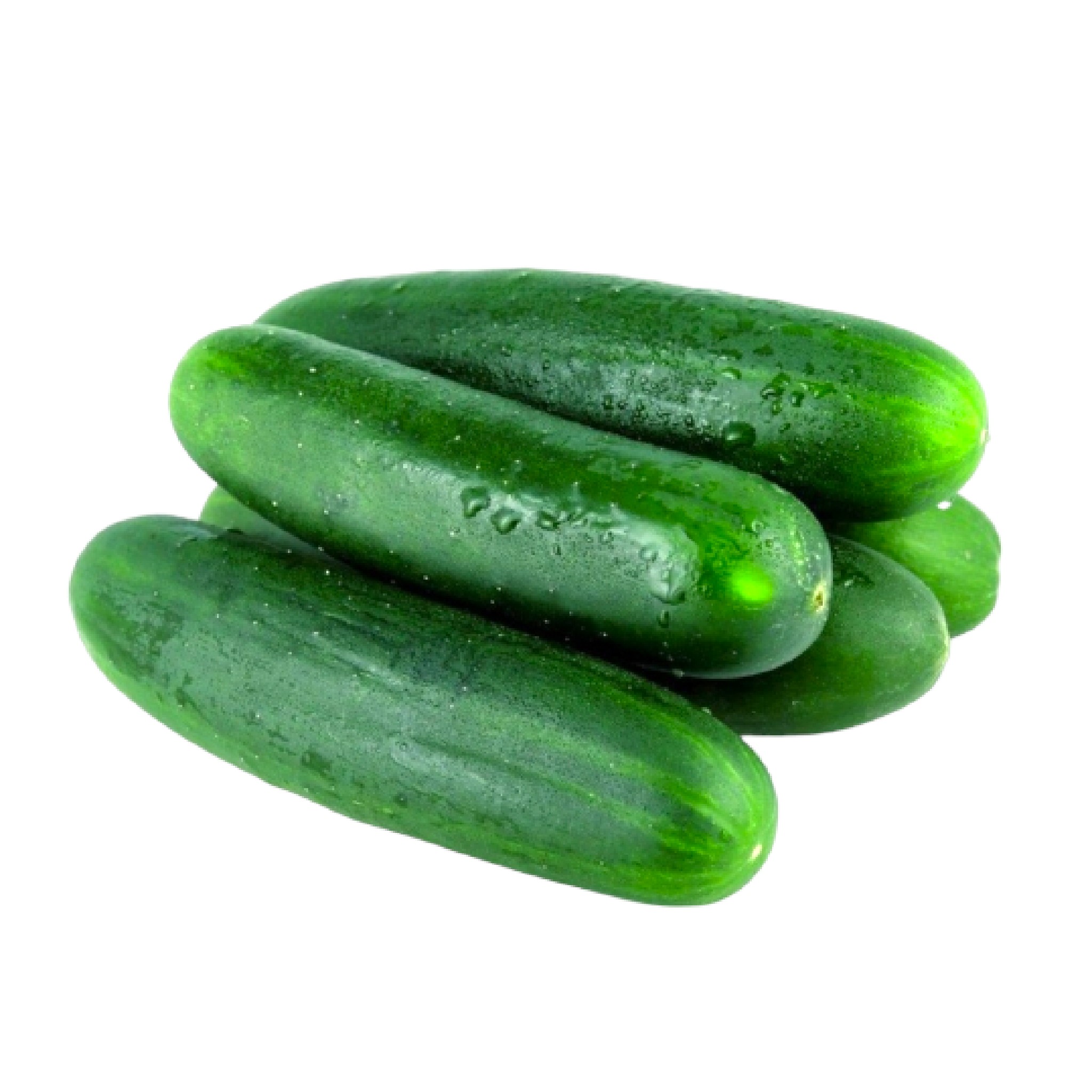  cucumber 1kg 