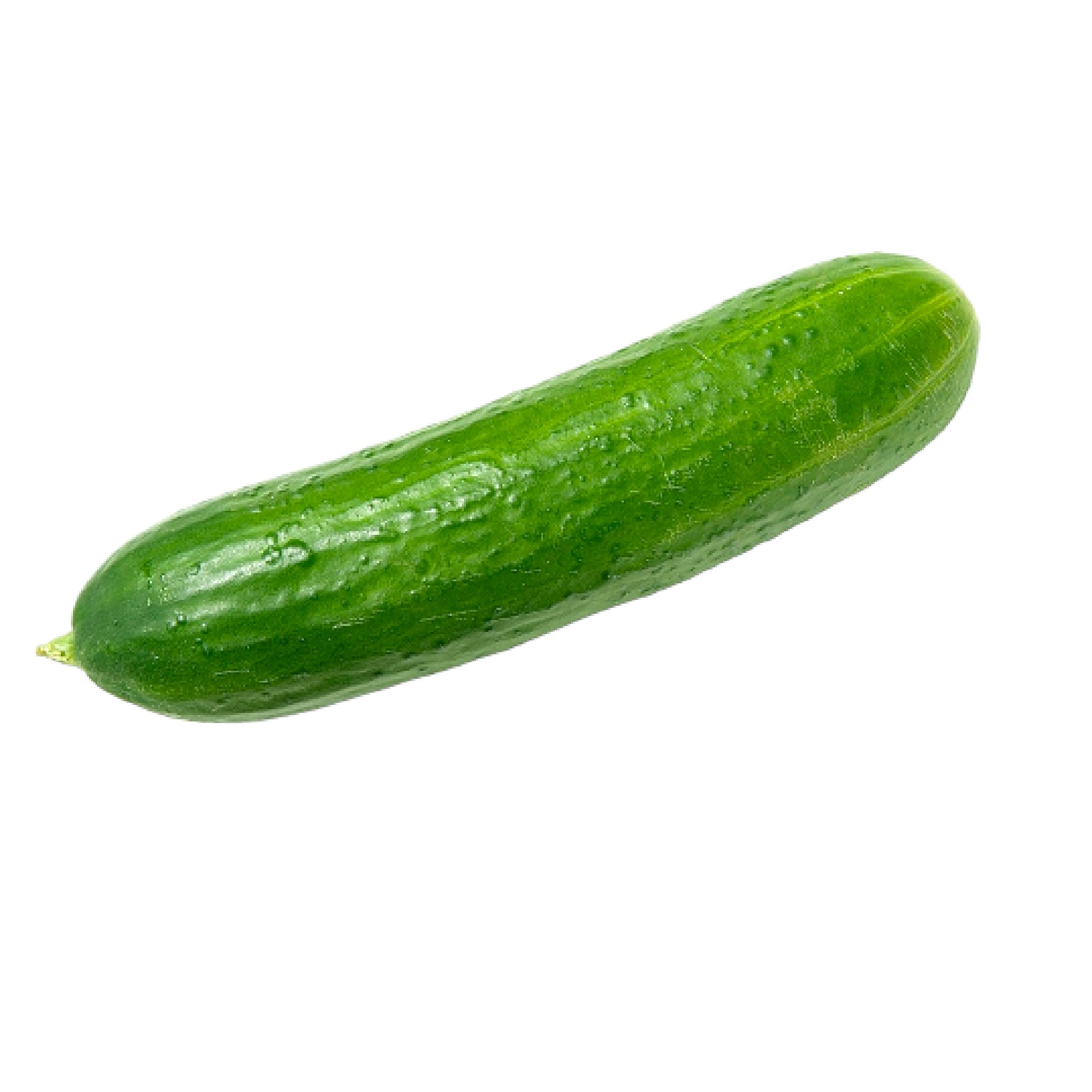  Cucumber 1pes 