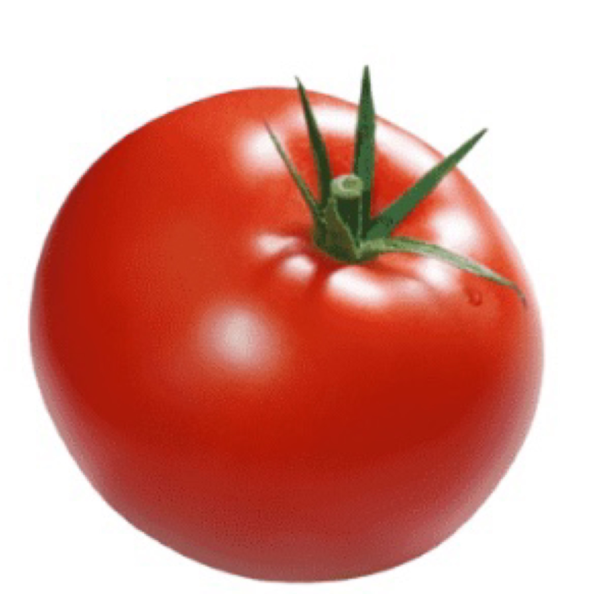  طماط 1حبه 