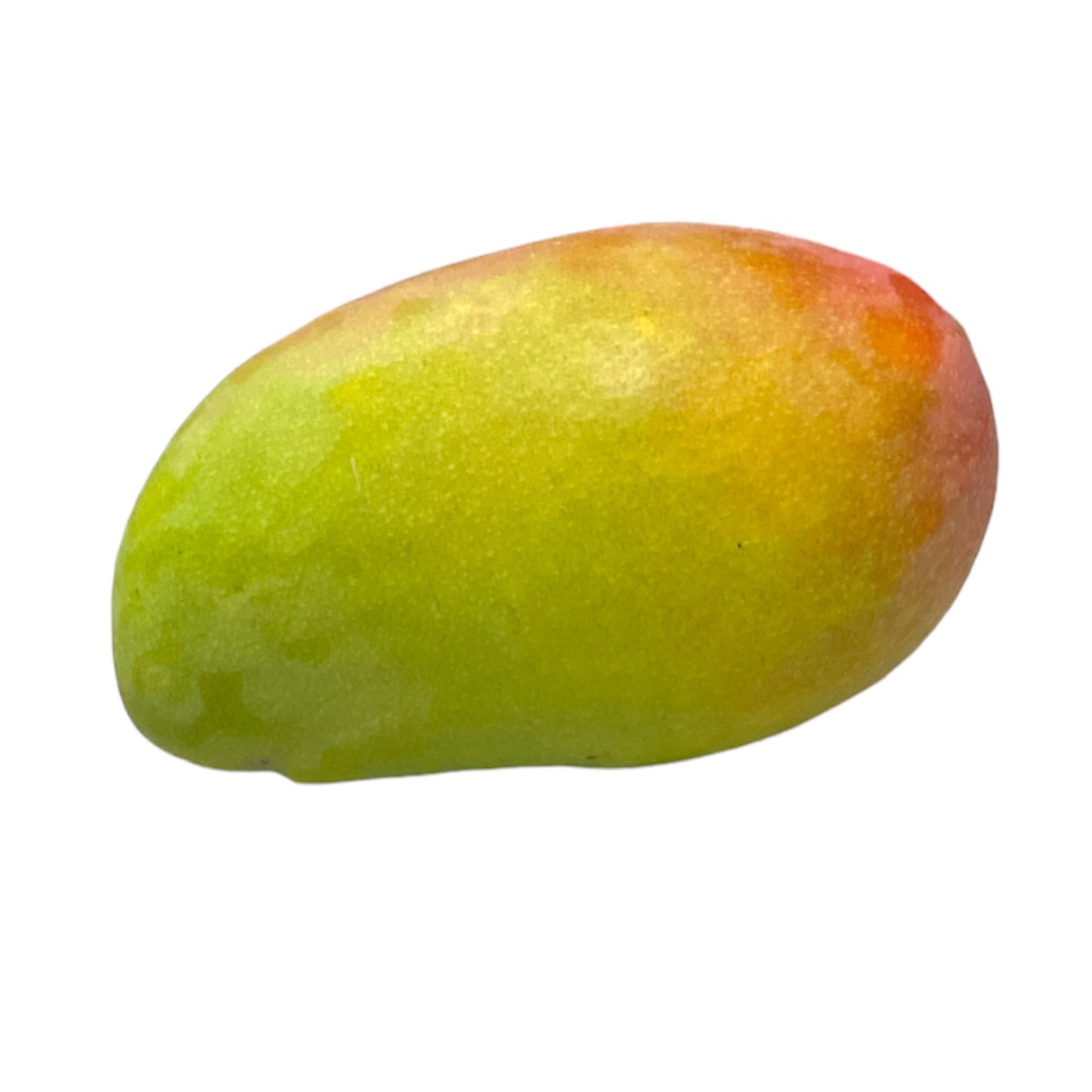  مانجو حبه 1 