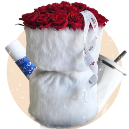هدايا الشتاء
