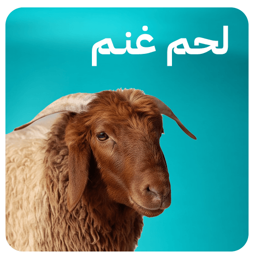 لحم أغنام