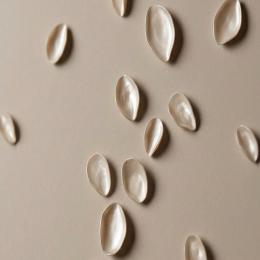 Decor pieces