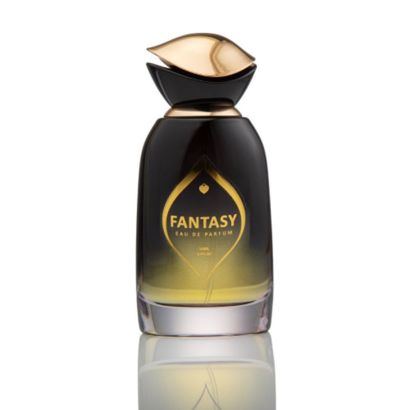  عطر ناتشورال سبراي  فانتاسي  للرجال او دي بيرفيوم 100 مل