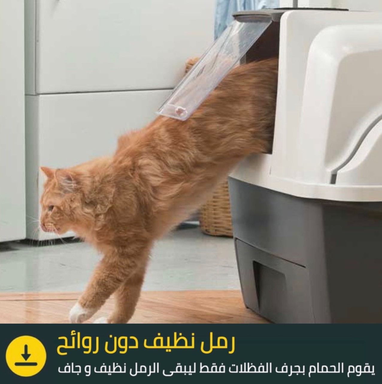 حمام القطط الذكي