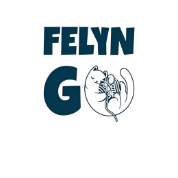 Felyn go