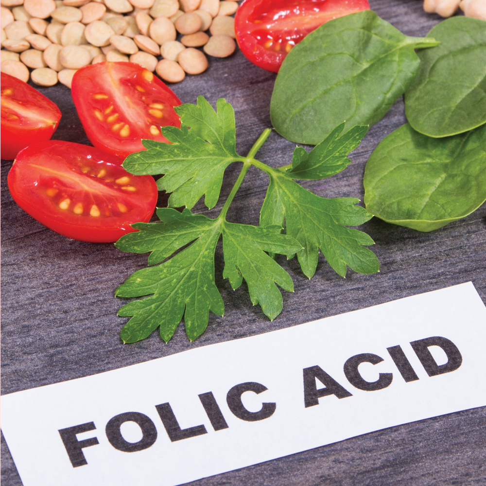  Foliko Lactoferrin with Folic Acid and Multivitamins Blackcurrant Flavor 20 Bottles 