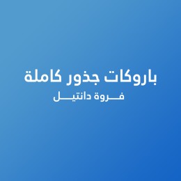 باروكات جذور كاملة فروة دانتيل