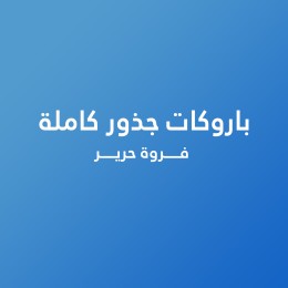 باروكات جذور كاملة فروة حرير