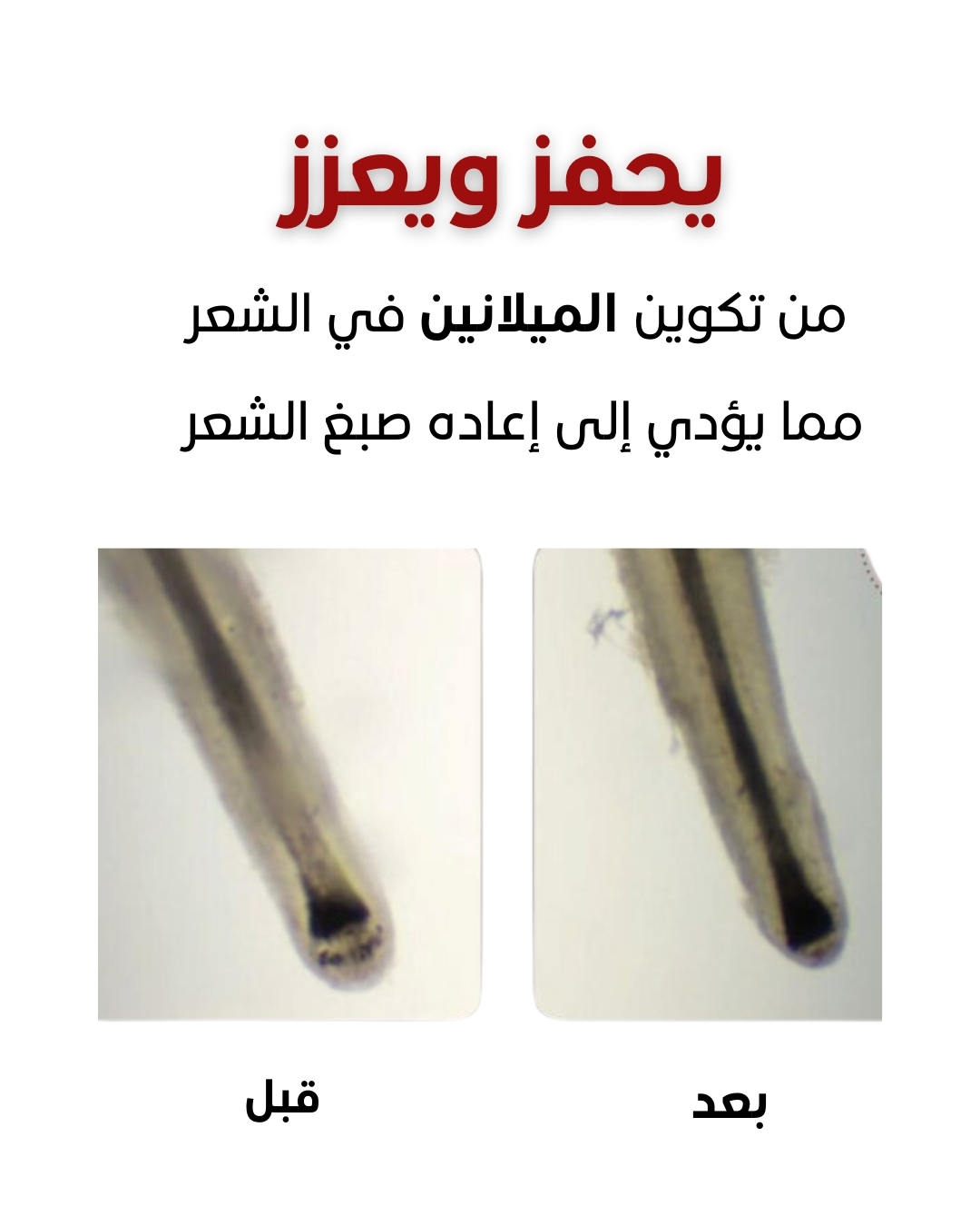 بخاخ الشيب