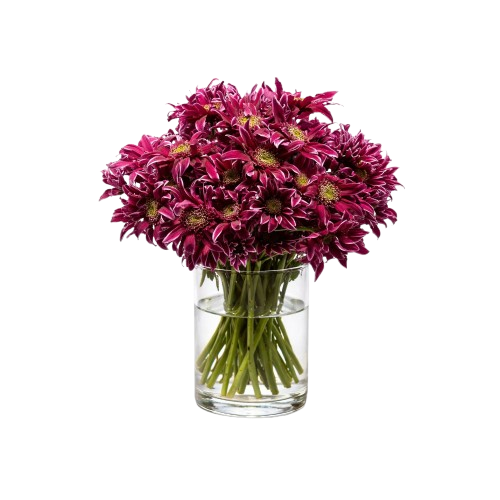 فازة ورد أغصان كريز