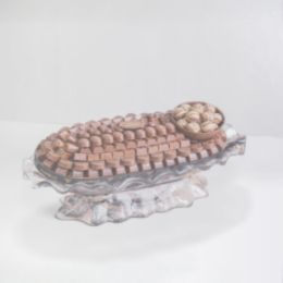 صواني اليجانت | Elegant Trays