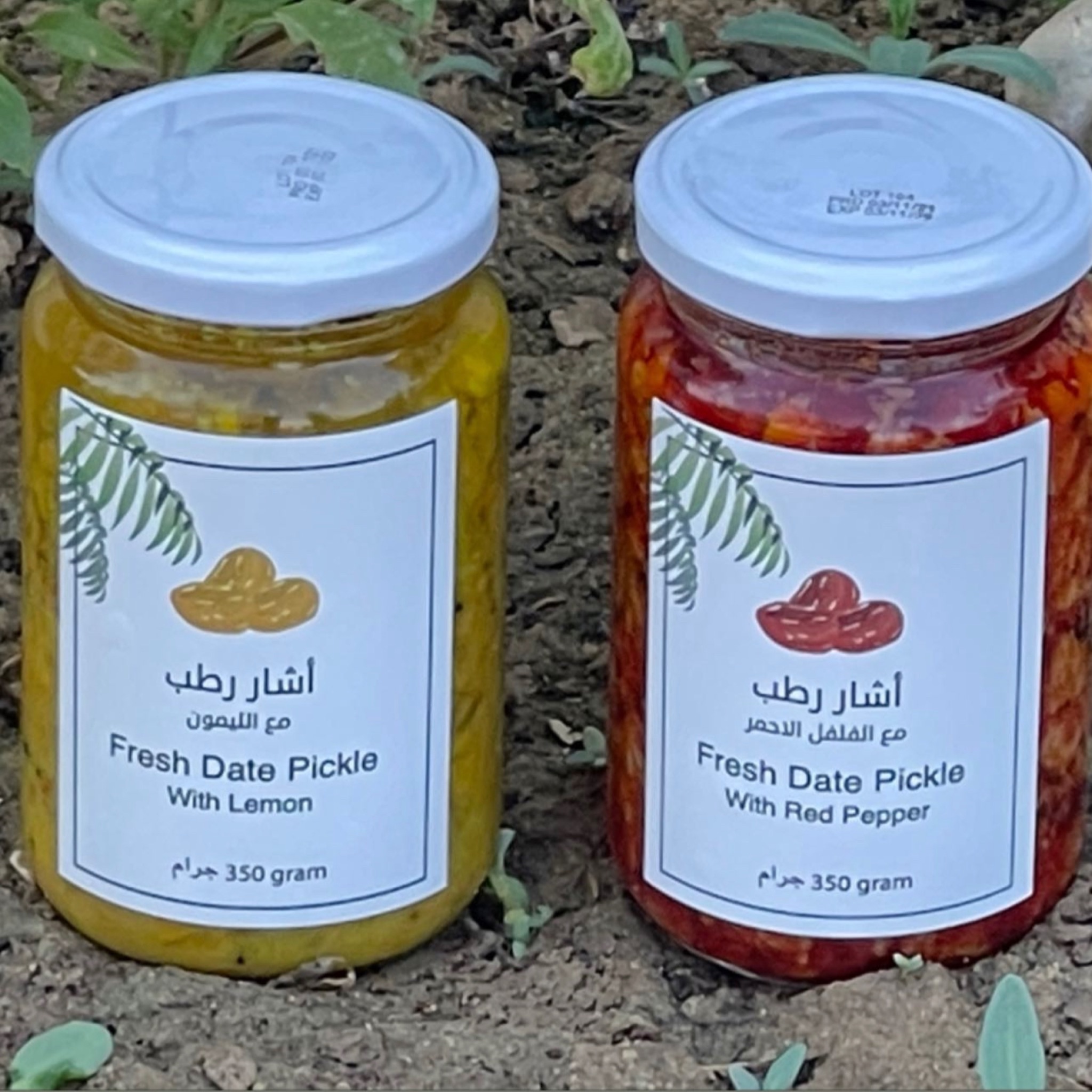 نوعين اشار رطب بالليمون والفلفل 