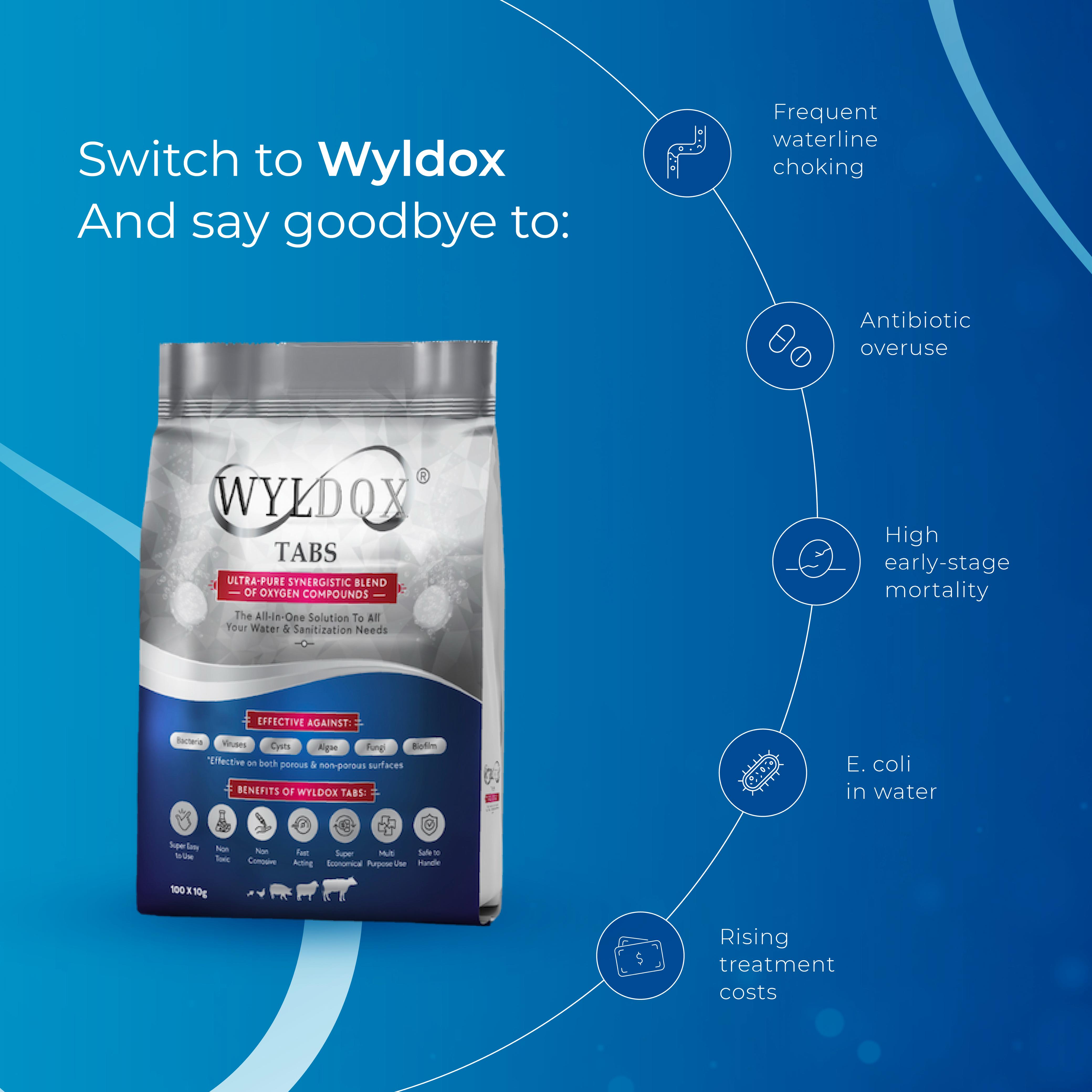 Wyldox Taps 1 KG ( 100 Taps )