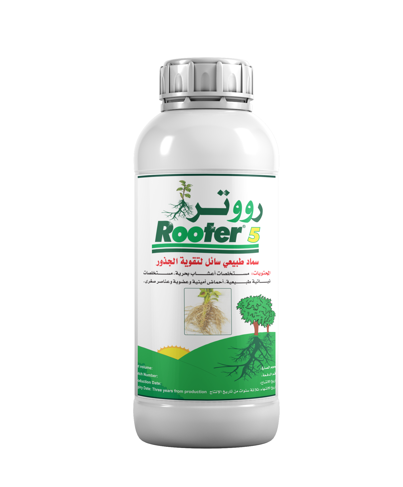 رووتر 5