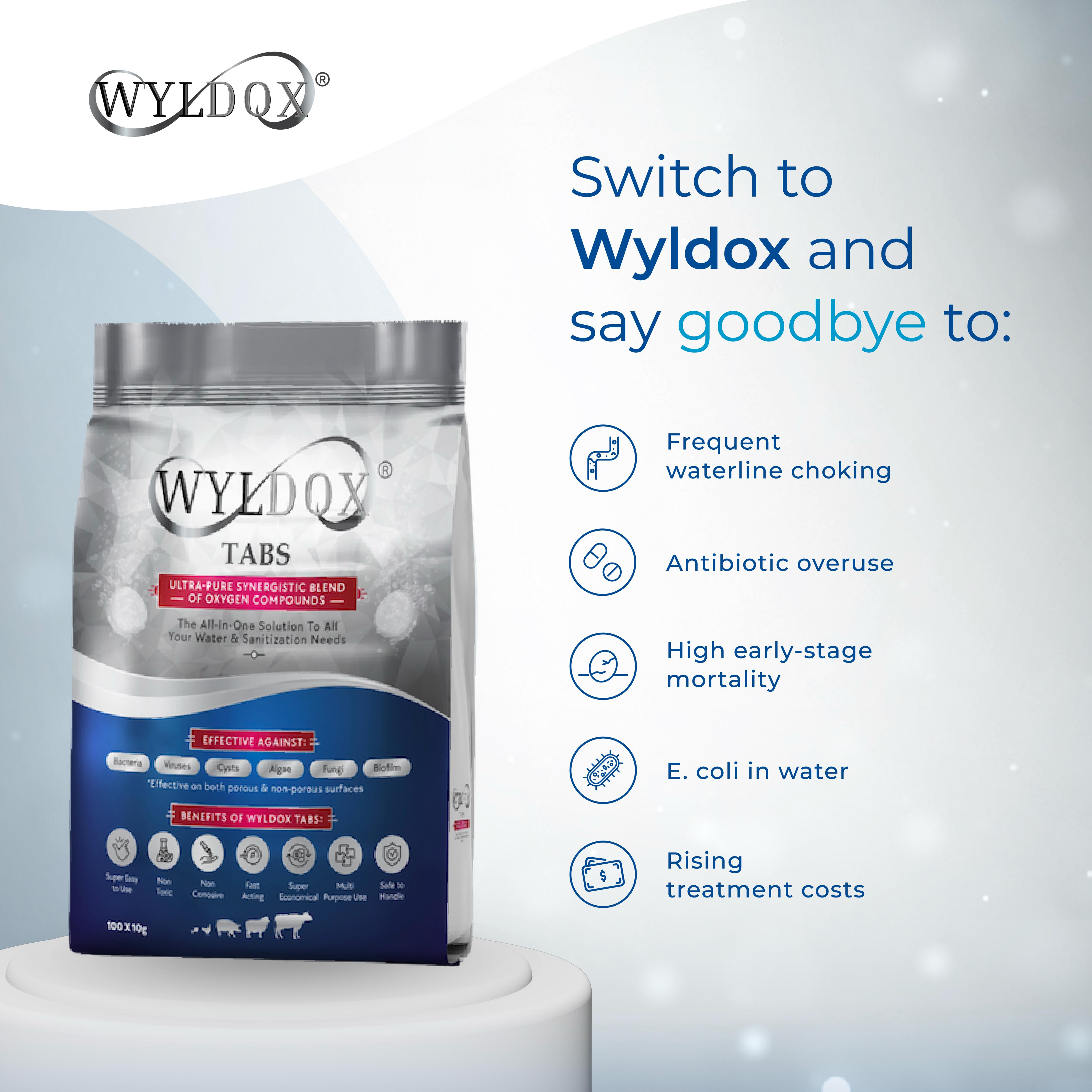 Wyldox Taps 1 KG ( 100 Taps )