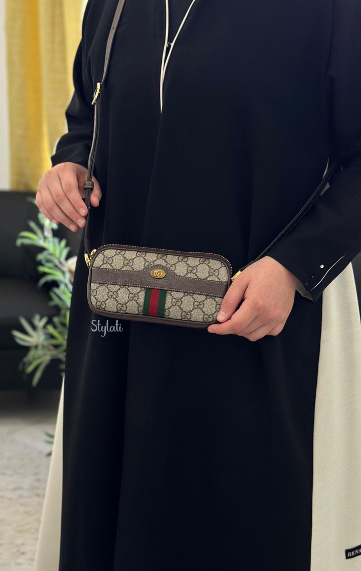  Gucci Canvas Ophidia Mini Crossbody Bag Beige / Brown  