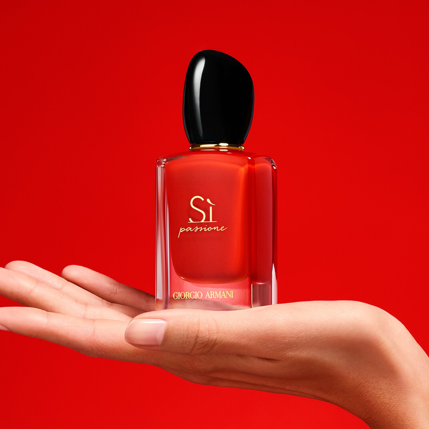 Giorgio Armani Si Passione Eau de Parfum 100ml